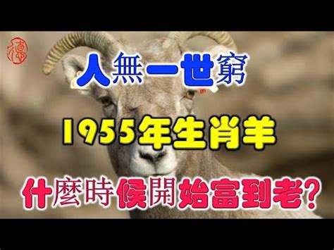 1955年屬什麼生肖|1955年属什么的生肖 1955属什么生肖今年多大了